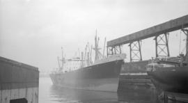 M.S. Yewbank [at dock]