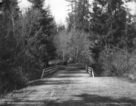 Drive, Stanley Park, Vancouver, B.C.