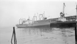 M.S. Florida Maru [at dock]