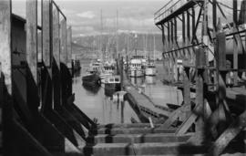 Marine railway [boats tied up at a marina]