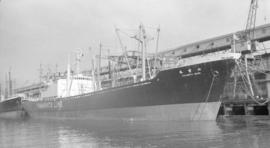 M.S. Yamamiya Maru [at dock]