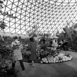 MacMillan Bloedel Conservatory