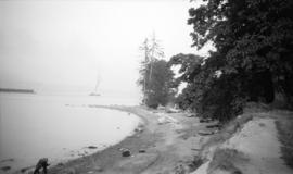 [Beach at Stanley Park]