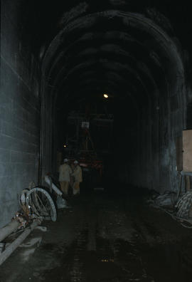 Dunsmuir Tunnel from North Portal [2 of 19]