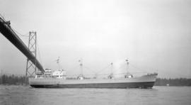 M.S. Trolleggen [passing under Lions Gate Bridge]