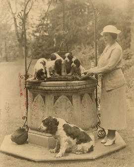 Aldyen Hamber with English Springer Spaniels