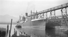 S.S. Talthybius [at Canadian Government elevator dock]