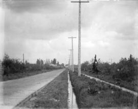 [Wooden road and sidewalk in Kerrisdale]