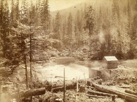 [Capilano Creek Dam]