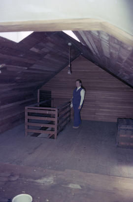 [975 Lagoon Drive - View of figure in attic]