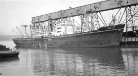 S.S. Kyowa Maru K 336 [at dock]