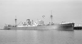 S.S. Acheo [at dock]