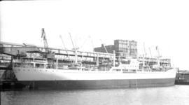 M.S. Augvald [at dock]