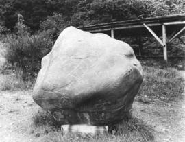 [Petroglyph rock from Lone Cabin Creek]