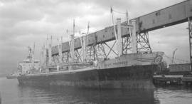M.S. Aegis Progress [at dock]