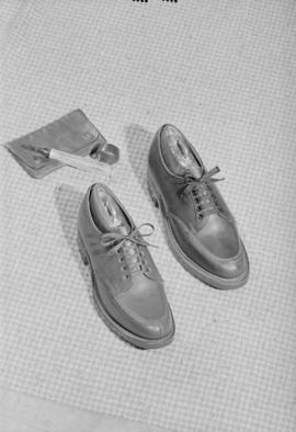 Cockfield Brown : 2 shoes (setup), 5 singles