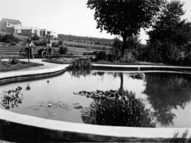 [A man-made pond at U.B.C. Botanical Garden]