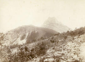 Cathedral Mountain, Kicking Horse Pass, B.C.