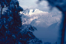 Special effects : North Shore mountains from VanDusen, telephoto lens