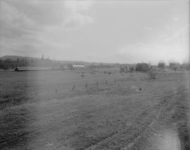 Associated Dairies Limited farm - View of the property including the barns and house