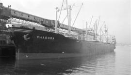 M.S. Phaedra [at dock]