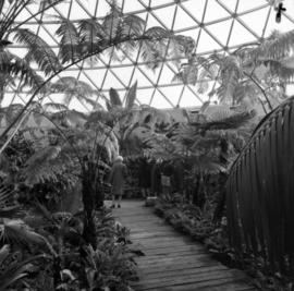 MacMillan Bloedel Conservatory