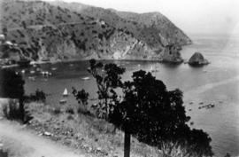 [View of Avalon Harbor at Santa Catalina Island]