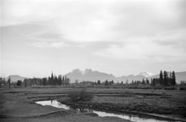 [A irrigation slough on Langley Prairie]