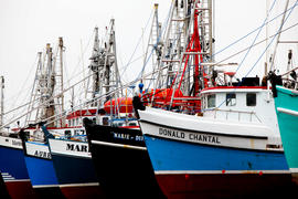 New Day 29 Boat yard in New Brunswick.