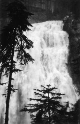 In Mount Rainier Park : Narada Falls