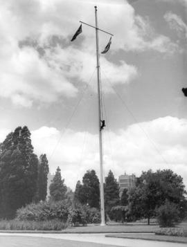 [A Douglas Fir flagpole in Joubert Park]