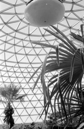 MacMillan Bloedel Conservatory