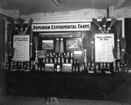 Seed Exhibit [from Dominion Experimental Farms at] Vancouver Winter Fair