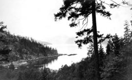 Looking north from east bank above Horseshoe Bay