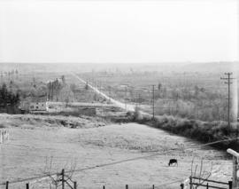 [Sperling Avenue looking east]