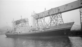 M.S. Finnamore Valley [at dock]