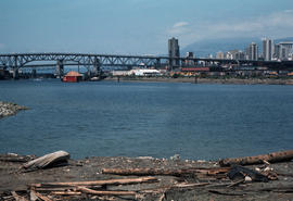 False Creek - Cleanup progress #6 [20 of 26]