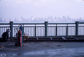 Railings/dock-2 [12 of 20]