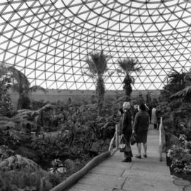 [MacMillan Bloedel Conservatory]