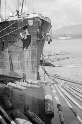 [Men cleaning the bow of a ship while a man walks on a logboom below]