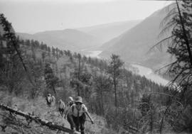 Hikers along the trail