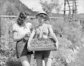 Fred Thompson's daughters : Spuzzum, B.C. : strawberries