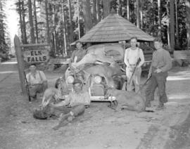 [Display of deer on car at Elk Falls]