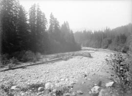 Capilano log jam, lower creek