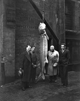 Mr. Umpleby [and three men with a sturgeon]