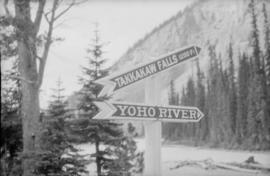 Directional signs to Takkakaw Falls and Yoho River