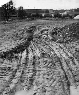 [Clearing the land for New Brighton Park]