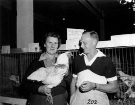 Man and woman with award-winning hen in 1955 P.N.E. Poultry and Pet Stock competition
